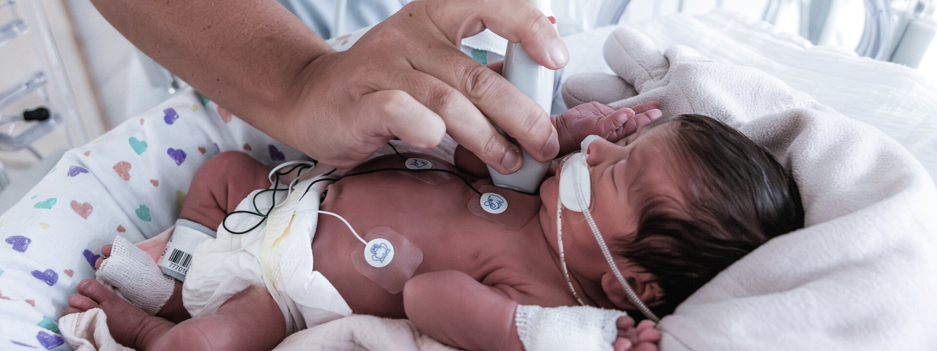 BVN/GBN Lung Ultrasound Course